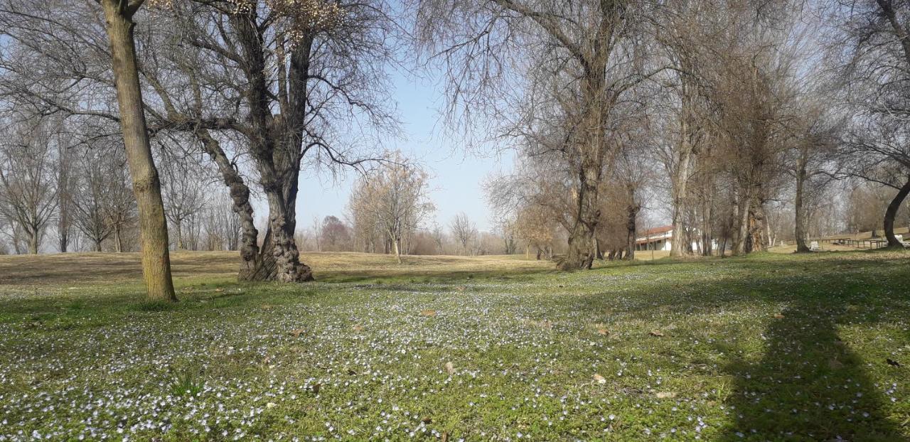 Casa Nicole 1 Villa Mussolente Dış mekan fotoğraf